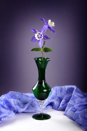 Still Life of columbine flower in  vaseの写真素材