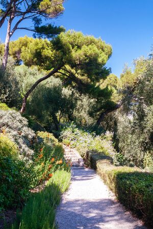Mediterranean garden on the french rivieraの写真素材