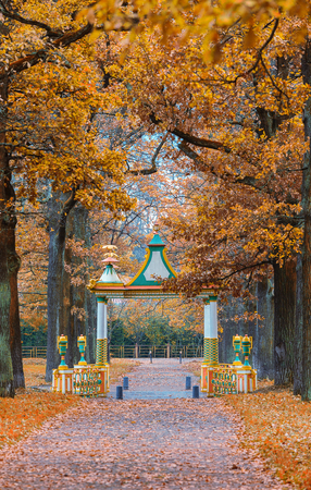 The Minor Chinese Bridge in the Alexander park. Saint Petersburg, Tsarskoye Selo , Russia.の写真素材
