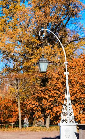 Autumn landscape in Pavlovsk park. Saint Petersburgの写真素材