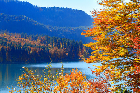 View of Alpsee lake.Bavaria, Germanyの写真素材