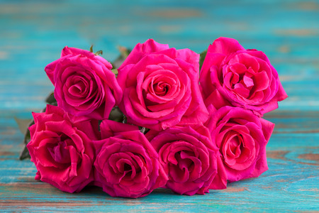 Pink roses on turquoise wooden background
の写真素材