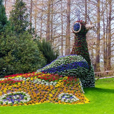 Flower sculpture of a peacock on the island Mainau, Germanyの写真素材