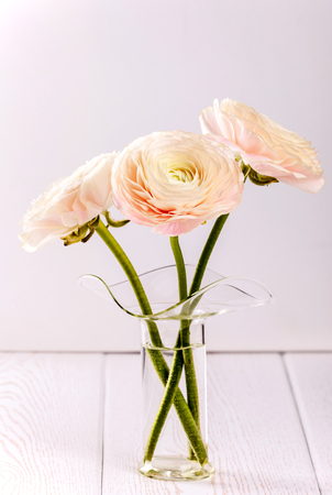 Pink ranunculus flowers in glass vase.の写真素材