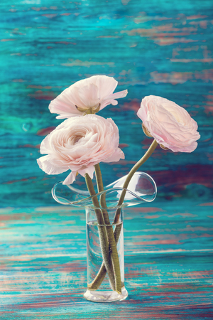  Pink ranunculus flowers in glass vase on wooden table の写真素材
