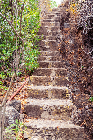 Historic botanical garden, near Las Palmas, Gran Canaria, Spain.の写真素材