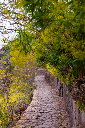 Historic botanical garden, near Las Palmas, Gran Canaria, Spain.の写真素材