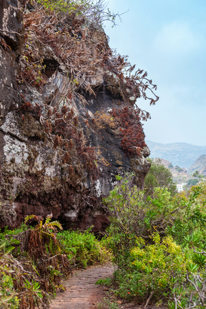 Historic botanical garden, near Las Palmas, Gran Canaria, Spain.の写真素材