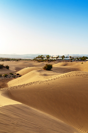 Sand dunes of Maspalomas, Gran Canaria, Canary Islands, Spainの写真素材