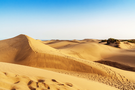 Sand dunes of Maspalomas, Gran Canaria, Canary Islands, Spainの写真素材