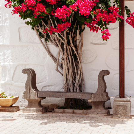 View of a street in Fataga, Gran Canaria, Canary Islands, Spain.の写真素材