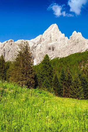 The Pale of San Martino group summer view from San Martino di Castrozza, Dolomites. Italyの写真素材