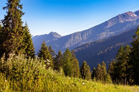 The Pale of San Martino group summer view from San Martino di Castrozza, Dolomites. Italy