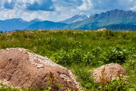 Summer landscape  in the italian Dolomites
