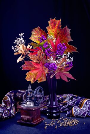 Still Life with Branches Of Beautyberry Bushの写真素材