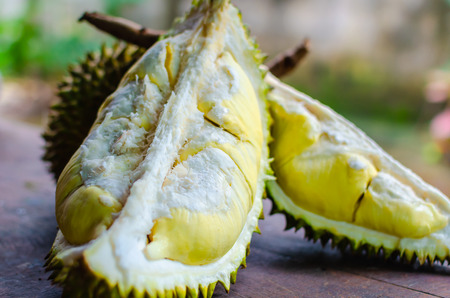 Durian riped and fresh ,durian peel with yellow colour on wooden table.Close up and selective focus image.の写真素材