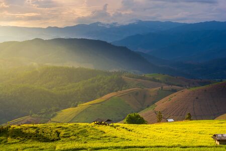 Beautiful sunset at green rice field, rice terrace.の写真素材