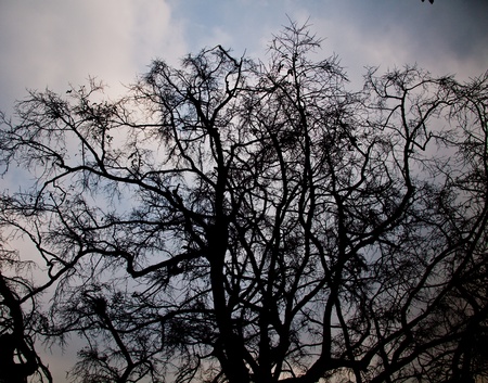 Droughtの写真素材