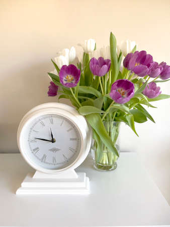 bouquet of purple and white color tulips in a glass vase on the table and watch white, early spring,...