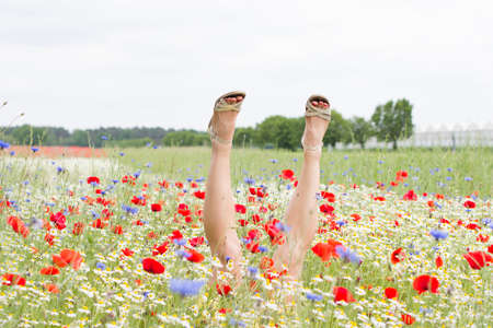 female legs stick out from the field of multicolored flowers, explosion of colorの写真素材