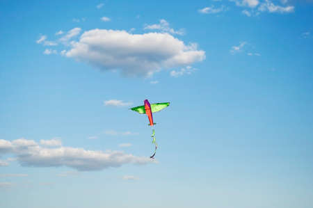 A bright kite soaring freely in the blue sky on a clear sunny day,の写真素材