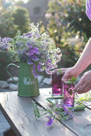 Lilac Lemonade of basil and mint, vintage still life purple and green, in the rays of the setting sunの写真素材