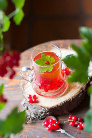 natural vitamin tea with fresh red currant berries, summer fruit harvest, abundanceの写真素材