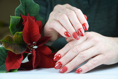female hands with a beautiful red festive manicure design hold a mini poinsettiaの写真素材