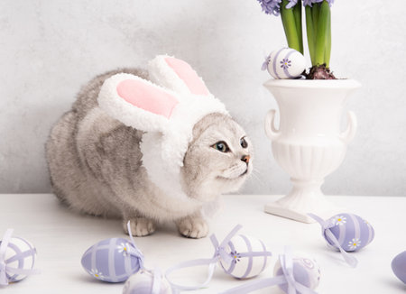 funny kitten in a hat with easter bunny ears, lilac hyacinths in a vase and eggs