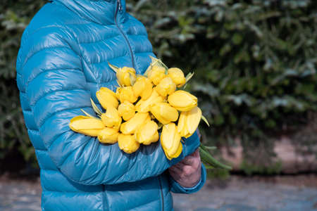 woman in a blue jacket with a bouquet of yellow spring tulips, mothers day giftの写真素材