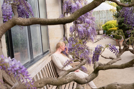 beautiful middle-aged woman sits on a bench in the thickets of blooming wisteriaの写真素材