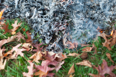 Burning fallen sick leaves in fire, Sanitary cleaning of the autumn gardenの写真素材