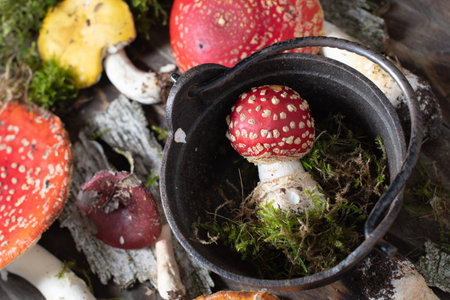 beautiful orange-red fly agaric on a wooden table, autumn harvest of mushrooms