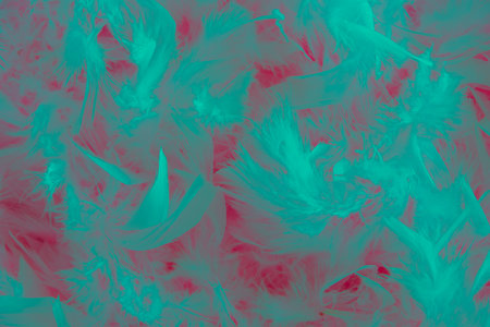 background of turquoise feathers on pink, tactile soft surfaces and texture