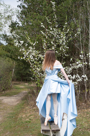 beautiful ballerina in a blue wedding dress on the background of a forest lakeの写真素材