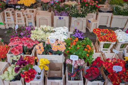 different flowers are sold in the market in baskets with price tagsの写真素材