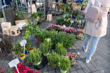 different flowers are sold in the market in baskets with price tagsの写真素材