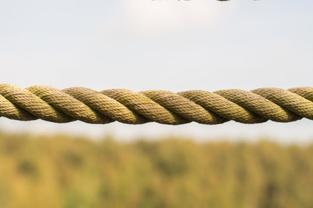 braided rope against green foliage of trees and sky , background is dimly visible, setting sun gives...