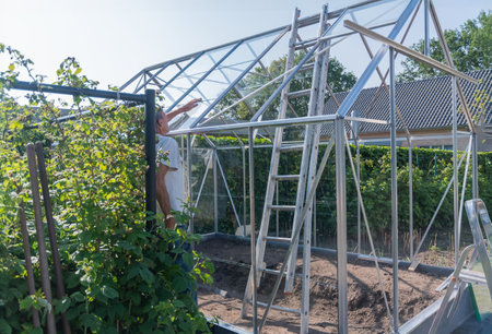 Gardener installs glass on roof of greenhouse in his garden, DIY concept and grow vegetables in small garden plot,の写真素材
