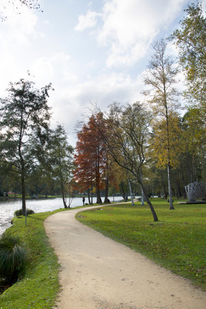 quiet pond and serene nature in autumn during leaf fall in city park, colorful autumn trees, a path leading into the distance,の写真素材