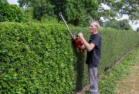 Gardener in work clothes trimming hedge with electric hedge trimmer in garden, lifting heavy garden tool by hand,の写真素材
