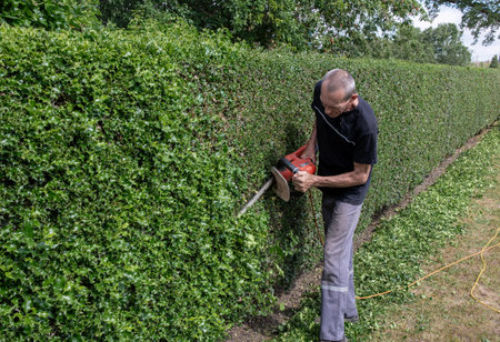 gardener in work clothes trimming thorny holly hedge with electric hedge trimmer in backyard garden enjoying work on warm sunny day, side viewの写真素材