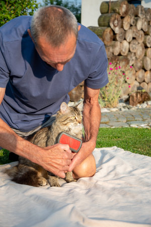 Senior man gently brushing fluffy tabby cat, sitting in a garden with a fence made of stacked logs in the backgroundの写真素材