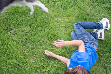 Husky dog happily running and jumping over child lying on bright green meadow, enjoying moments of joint play on a sunny summer day, blurred image,の写真素材