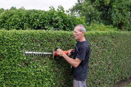 professional gardener in work clothes trimming thorny holly hedge with electric hedge trimmer in backyard garden enjoying work on warm sunny day,の写真素材