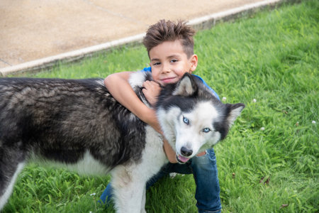 A boy kneels on the lush green grass next to a bike path, happily hugging his affectionate Siberian Husky with bright blue eyes and soft, thick fur, embodying the special bond he shares with his pet,の写真素材