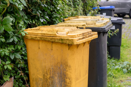 Yellow, black and blue garbage bins installed in a row near a fence in a residential area, waste sorting and storage concept, separate disposal of food waste, paper and plastic packaging,の写真素材