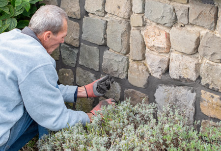 Senior builder restores an old stone wall in a garden, skillfully applying mortar with a narrow trowel and wearing gloves for protection during the repair,の写真素材