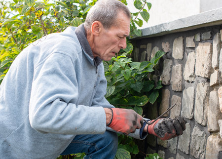 Retired builder restores an old stone wall in his garden, skillfully applying mortar with a narrow spatula and wearing gloves for protection during the repair,の写真素材