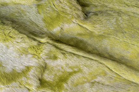 Soft green texture of fluffy fur, warm and pleasant to the touch surface, ideal for cold winter period or creating a cozy atmosphere in the interior,の写真素材